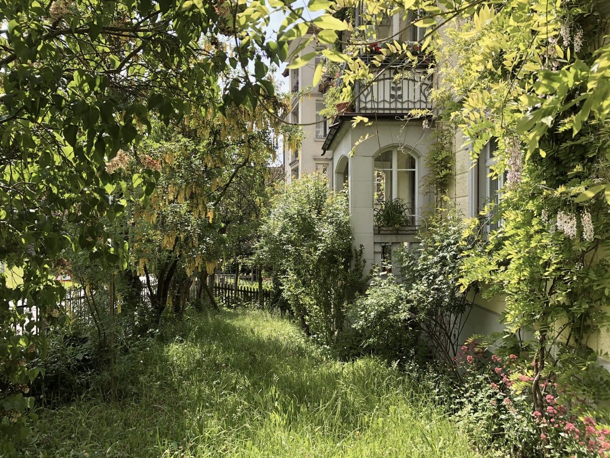 Dicht begrünter Garten mit Bäumen und Sträuchern vor einem Wohnhaus